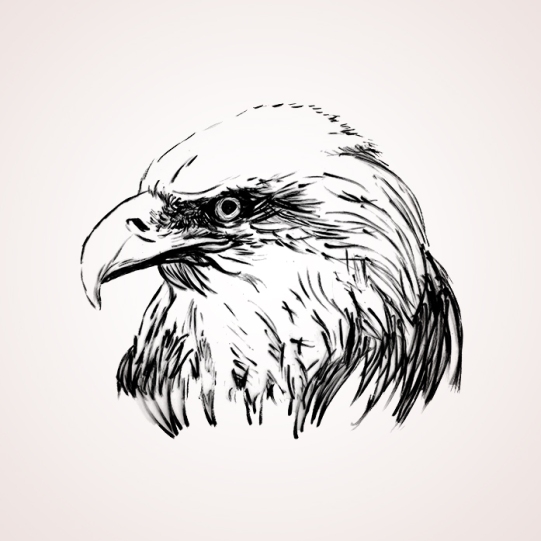 eagle_illust